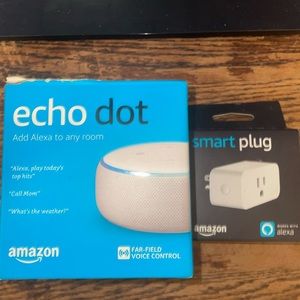 Amazon echo dot and smart plug